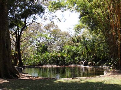 Pond in the Botanical Orchid Garden in the town of La Garita.