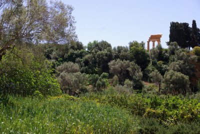 Agrigento.jpg