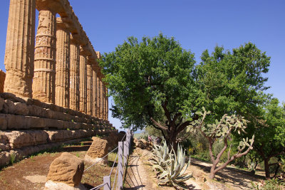 Agrigento18.jpg