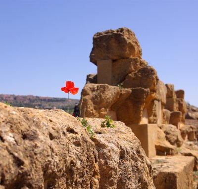 Agrigento3.jpg