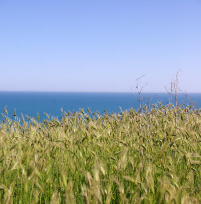 eraclea5.jpg