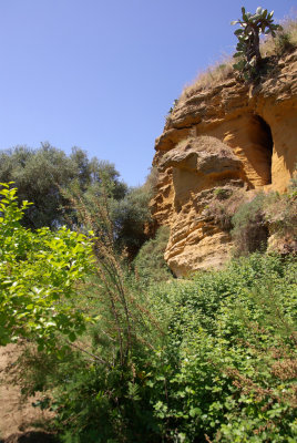 kolympetra1.jpg