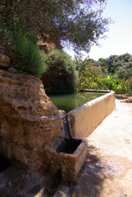 kolympetra2.jpg