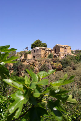 kolympetra3.jpg