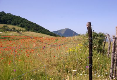 Landscape near Monte della STrega