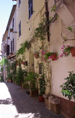 Village