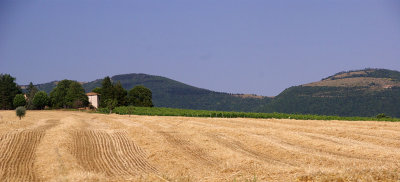 Marche Landscape