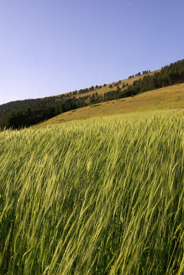 IMGP9745m.jpg