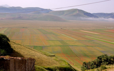 Piana di Castelluccio - La Fiorita 3