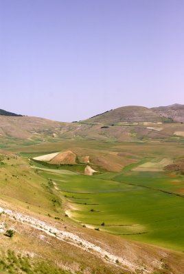Piana di Castelluccio - La Fiorita 4