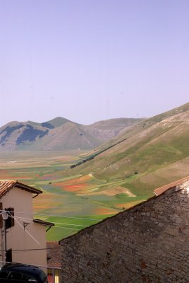 Piana di Castelluccio - La Fiorita 5