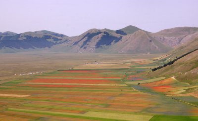 Piana di Castelluccio - La Fiorita 8