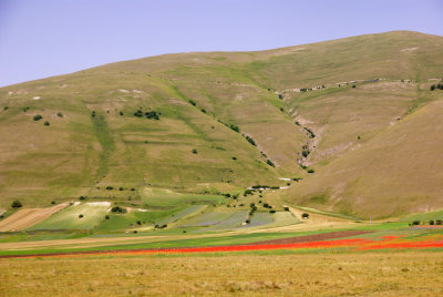 Piana di Castelluccio - La Fiorita 17