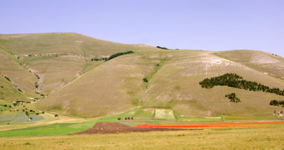 Piana di Castelluccio - La Fiorita (and Italy)