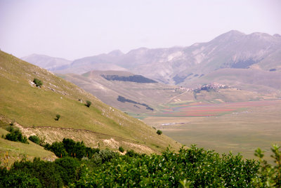 Piana di Castelluccio - La Fiorita 18