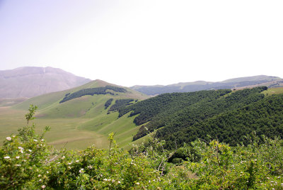 IMGP9810m.jpg