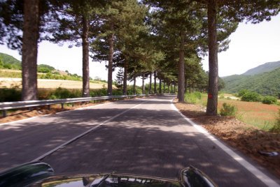 Towards Amatrice