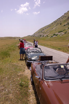 IMGP9870m.jpg