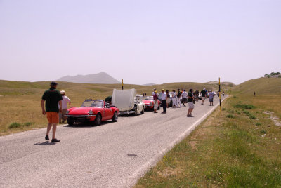 IMGP9871m.jpg