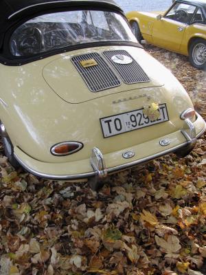 Porsche (Adamitic)