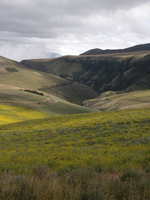 DSCN4805.jpg