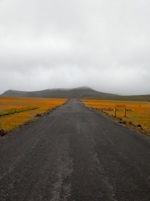 DSCN4826.jpg