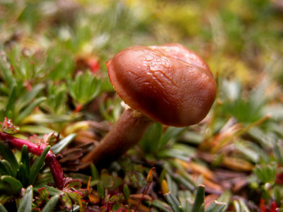 DSCN4844.jpg