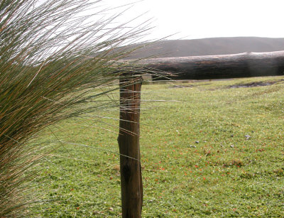 DSCN4855.jpg
