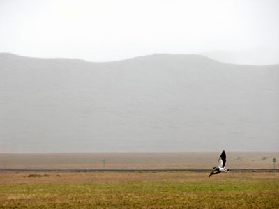 DSCN4870.jpg