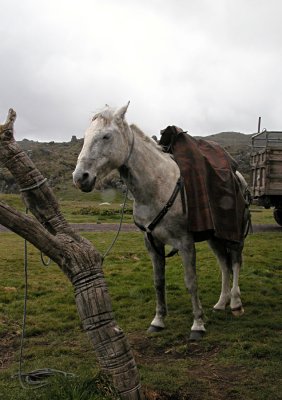 DSCN4873.jpg