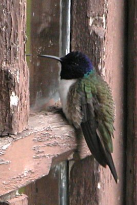 DSCN4888.jpg