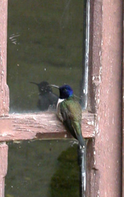 DSCN4891.jpg
