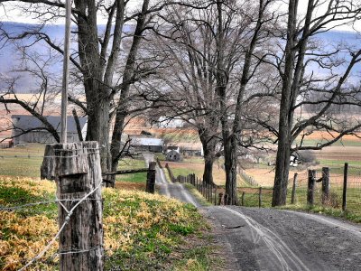 country living, farm lane