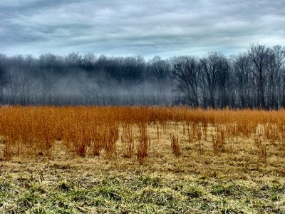 mist