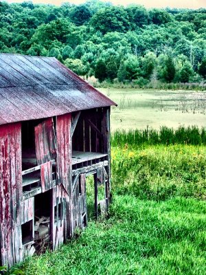 barn at beaver pond