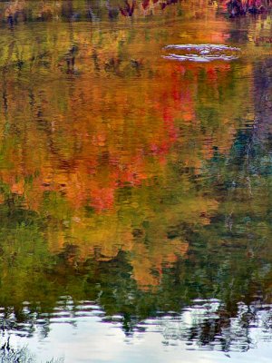 autumn ripple