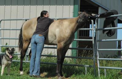 evin loves saddle ;o)