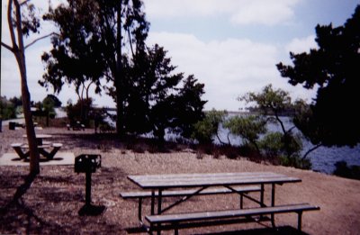 Nick's benches 2.jpg