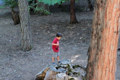 IMG_6723.jpg