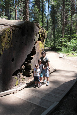 IMG_6750.jpg