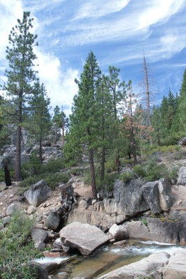 IMG_6934.JPG