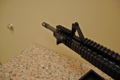 Daniel Defense M4 (F)