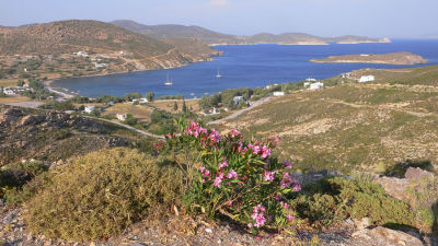 Overlooking Agriolivadho