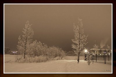 Winter Night Scene 1
