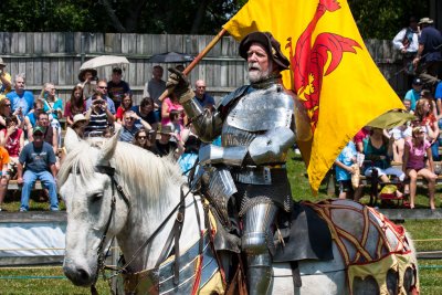 Tennessee Renaissance Festival 2012