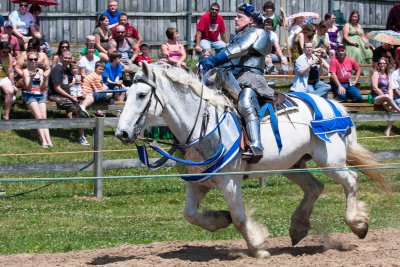 Tennessee Renaissance Festival 2012