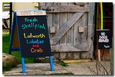 Lulworth Cove