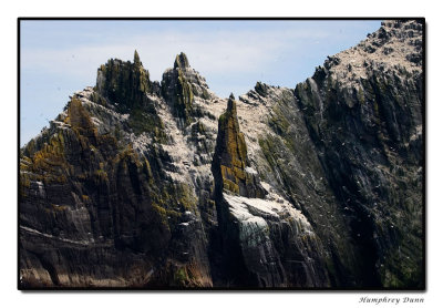 Little Skellig Sea Bird Sanctuary