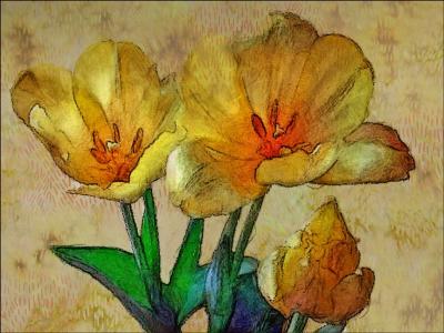 Tres Tulipanes