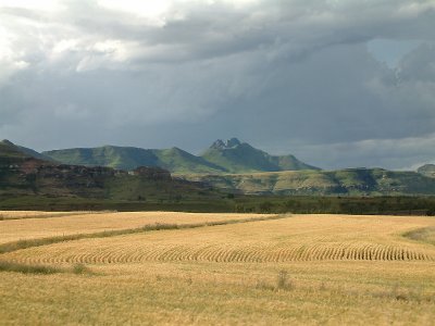 Wheat Over the Mountain